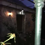 Casa Elisa Canarias *