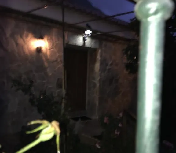 加那利伊利莎酒店 *